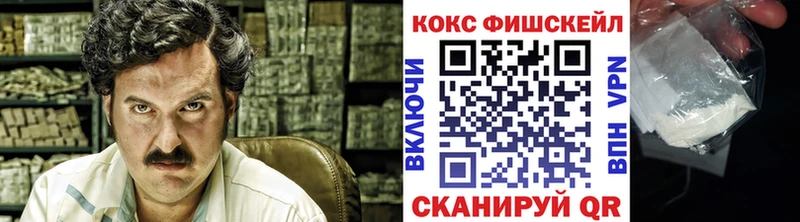 КОКАИН FishScale  продажа наркотиков  Скопин 